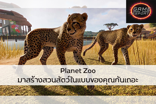 Planet Zoo มาสร้างสวนสัตว์ในแบบของคุณกันเถอะ Esport แข่งDota2 แข่งPubg แข่งROV Reviewgame PlanetZoo